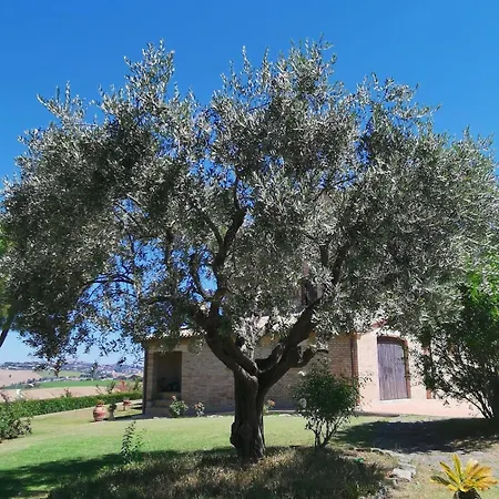 Giulia, A Splendid In The Marche Region Villa Appignano (Macerata)