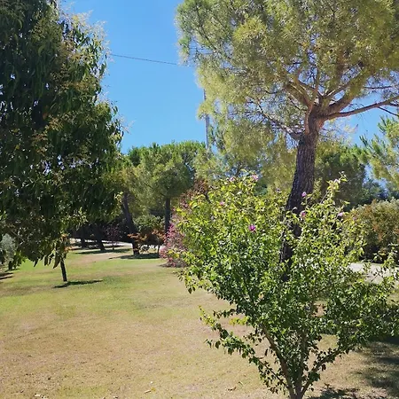 Villa Giulia, A Splendid In The Marche Region