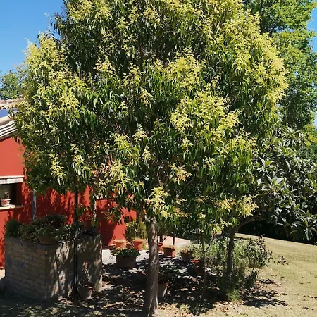 Willa Giulia, A Splendid In The Marche Region Appignano (Macerata)