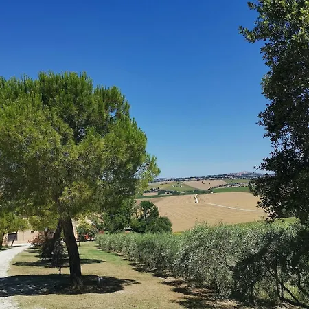 Giulia, A Splendid In The Marche Region * Appignano (Macerata)