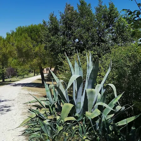 Giulia, A Splendid In The Marche Region *